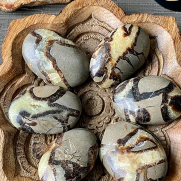 PalmStone Septaria 90-100g